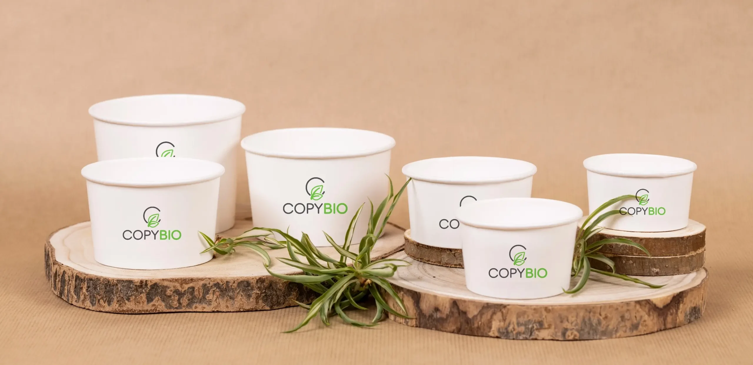 Copy Bio
