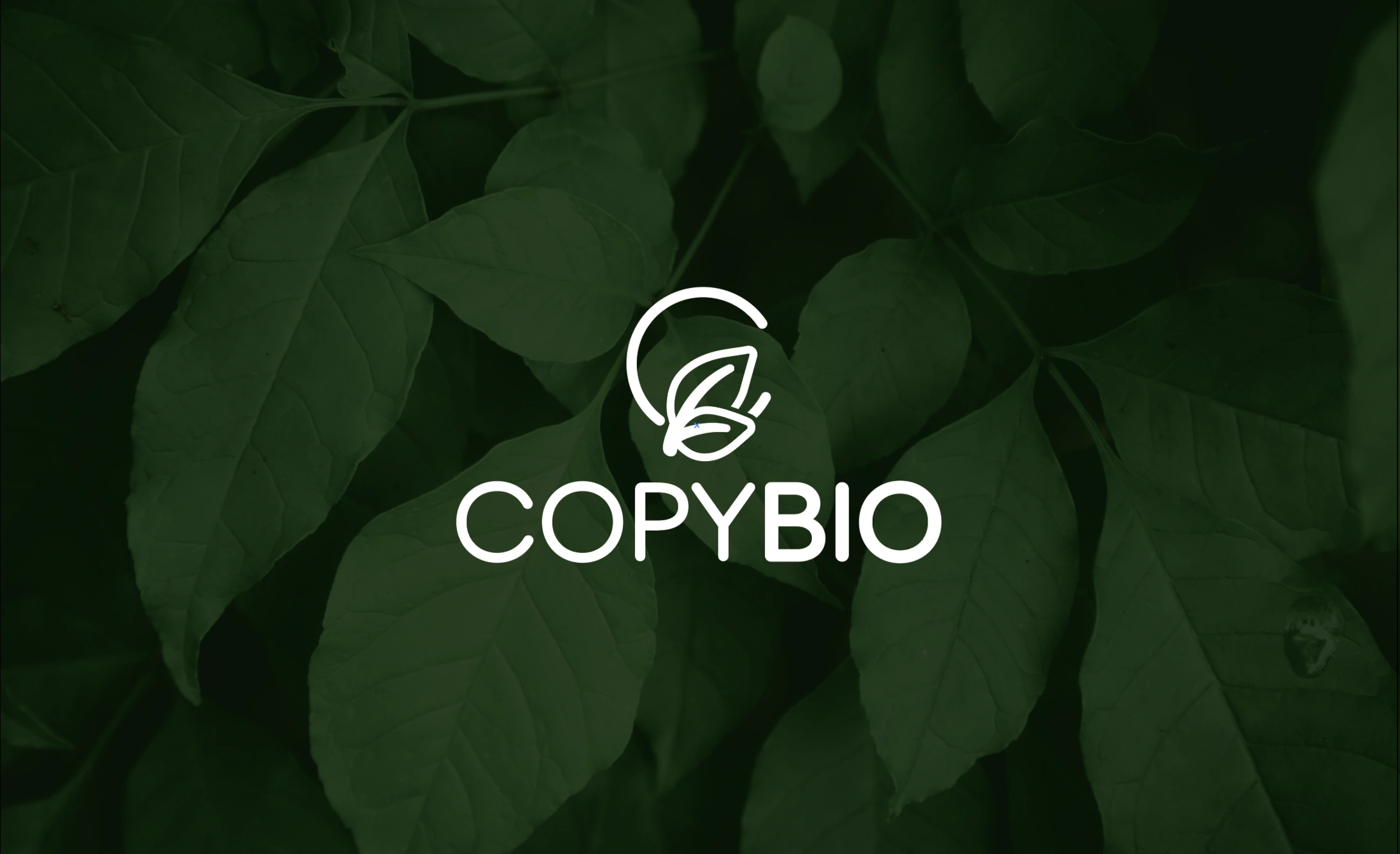 Copy Bio